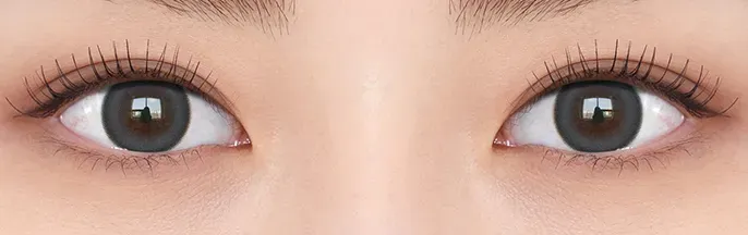 OLENS Mood Night 1Day Gray - 質感冷灰亞麻色調，打造如深夜月光般神祕深邃的高級眼神