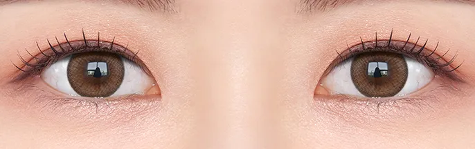 OLENS Nils 1Day Brown - 暖陽琥珀棕，13.5mm 柔和放大設計，打造如 NewJeans 般清澈明亮的小鹿眼神