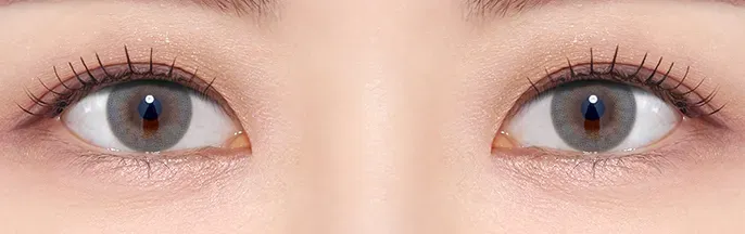 Olens French Shine Gray 灰色月拋 NewJeans同款 實戴圖