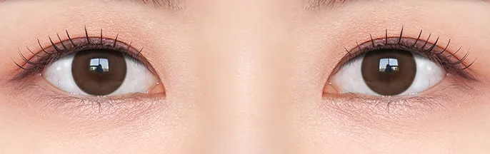 OLENS Misty 1Day Natural Choco 迷霧自然巧日拋 - 經典溫柔系列