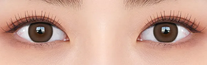 OLENS Mood Night Choco 暮夜巧克力棕日拋 - 深邃浪漫系列