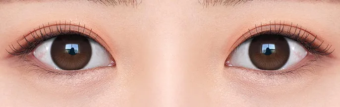 OLENS Rain Mocha 溫柔摩卡棕月拋隱形眼鏡 - 韓系日常溫柔水光系列