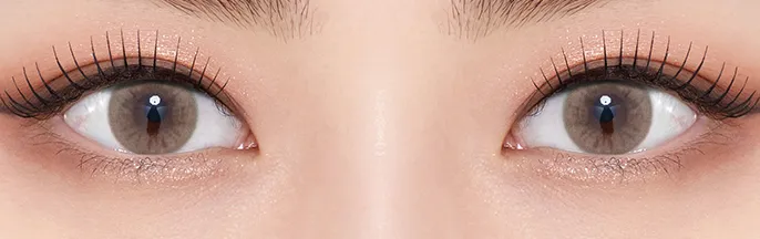 Olens Russian Smoky Brown 棕色日拋 - 打造極致高顯色混血眼神