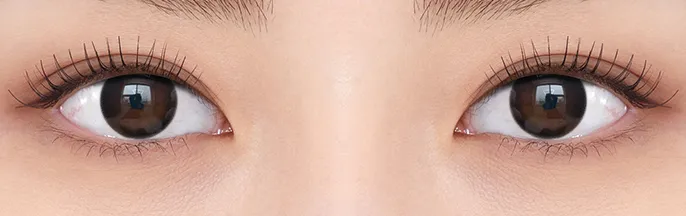 OLENS Shine Black 1Day 閃耀黑日拋 20片裝 - 自然小直徑