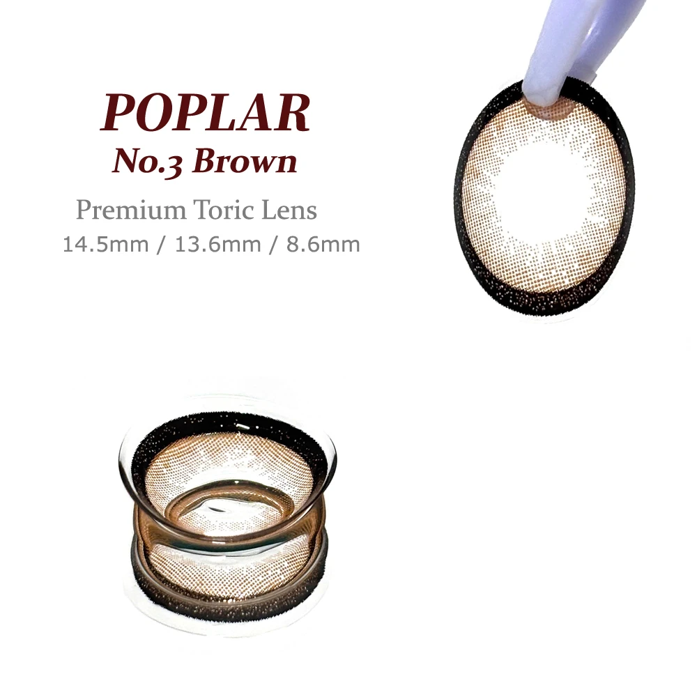 POPLAR 經典3號棕 模特兒實際配戴效果與日系甜美妝容
