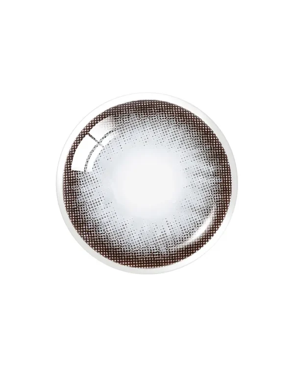 OLENS-Bigsome-Gray-鏡片