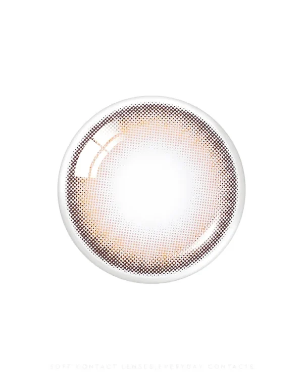 OLENS-Nils-Brown-日拋-鏡片