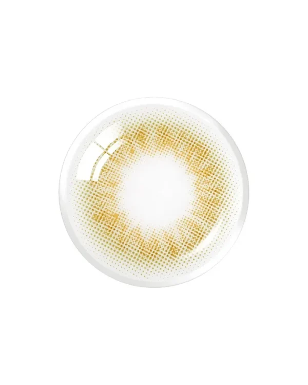 Olens-Scandi-Olive-月拋2片裝-韓國原裝進口包裝與規格